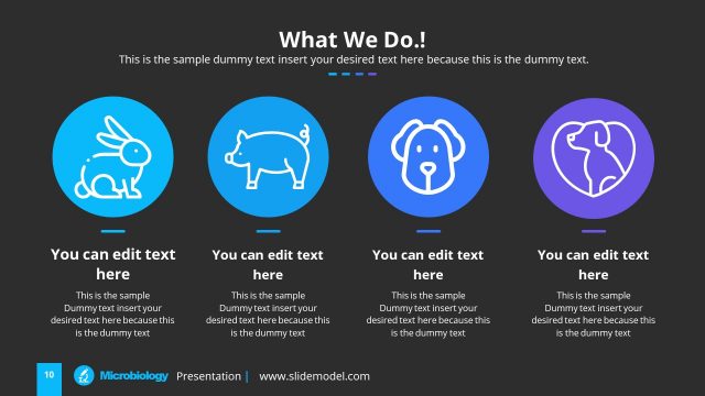 4 Segments Company Services PowerPoint