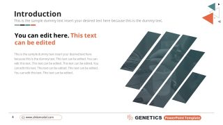 PPT Intro Genetics Template