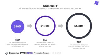 3 Level Circular Diagram Market Size