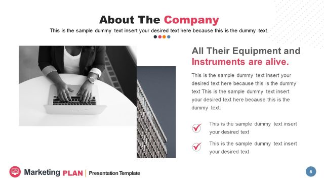 About Company in Marketing Plan Template