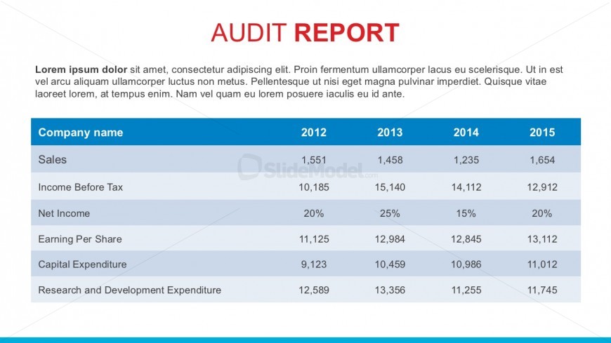 Profit After Expenditures Table Columns For PowerPoint