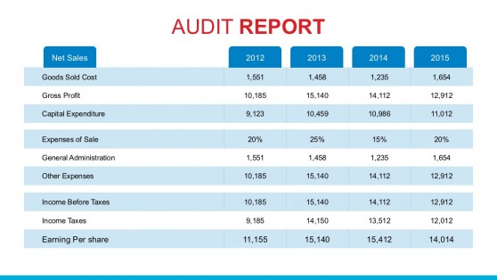 Annual Net Sales PowerPoint Report Template