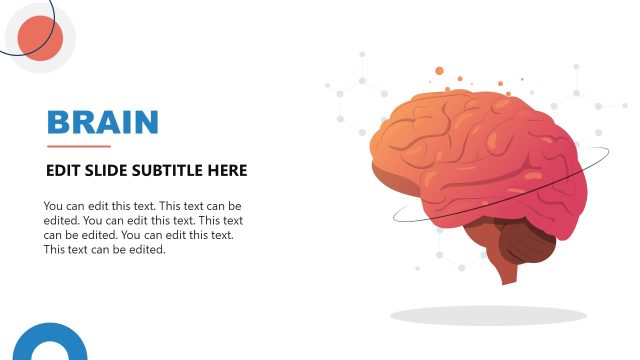 Neuroscience PowerPoint Slide with Brain Diagram