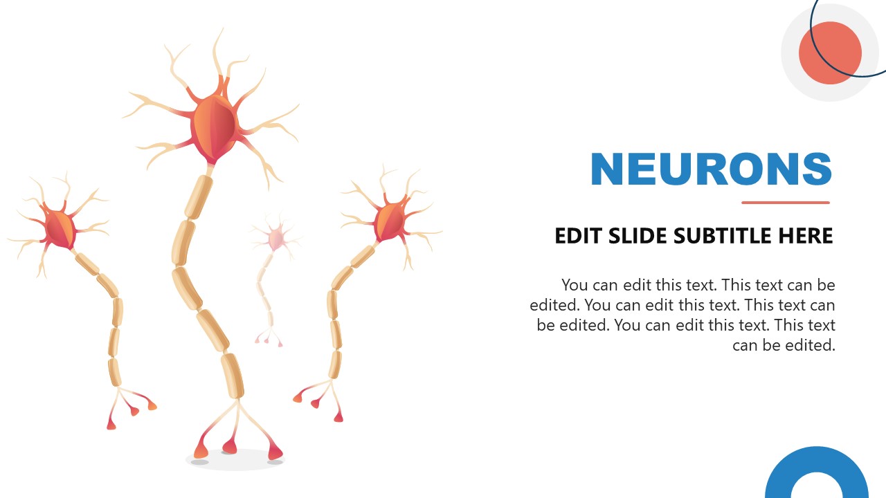 Neuroscience PowerPoint Template Neuroscience PowerPoint Template