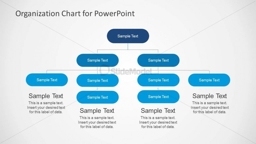 Functional Organizational Chart for PowerPoint