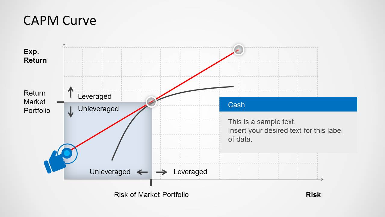 capital asset pricing model