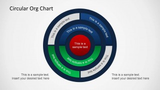 PowerPoint Org Chart Circular