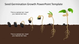 Timelines Templates