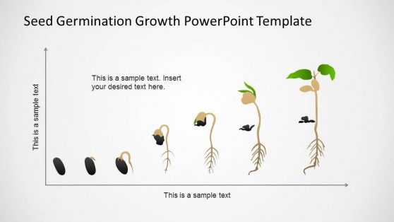 Germination PowerPoint Templates