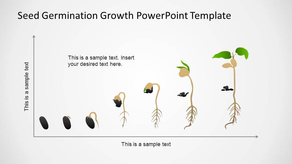 PowerPoint Timeline in Cartesian Axis with Seed Germination Process - Slide...