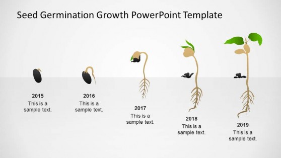 Germination Process Seed To Plant Timeline Slidemodel