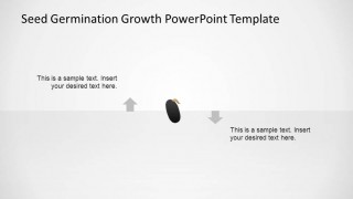 PowerPoint Seed Shape with Signs of Germination