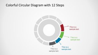 12 Segments Colorful Concept Diagram