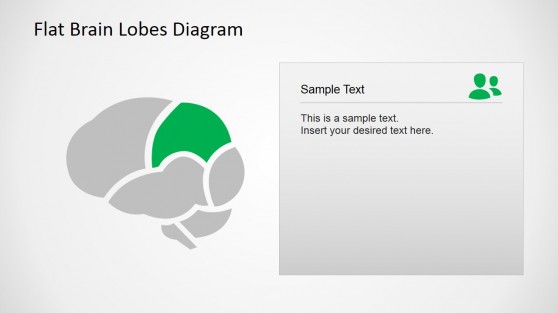 PowerPoint Flat Parietal Brain Lobe Diagram