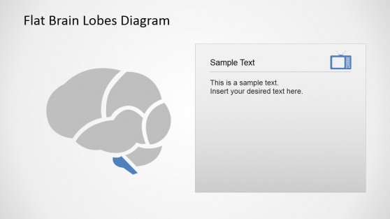 Brain Stem  Cross Sectional Diagram of Brain