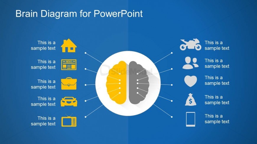 Brain Diagram Slide for Left & Right Brain Side Comparison