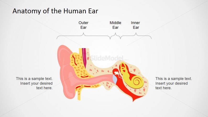 Creative Medicine Presentation in PowerPoint