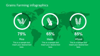 Grain Farming PowerPoint Slide
