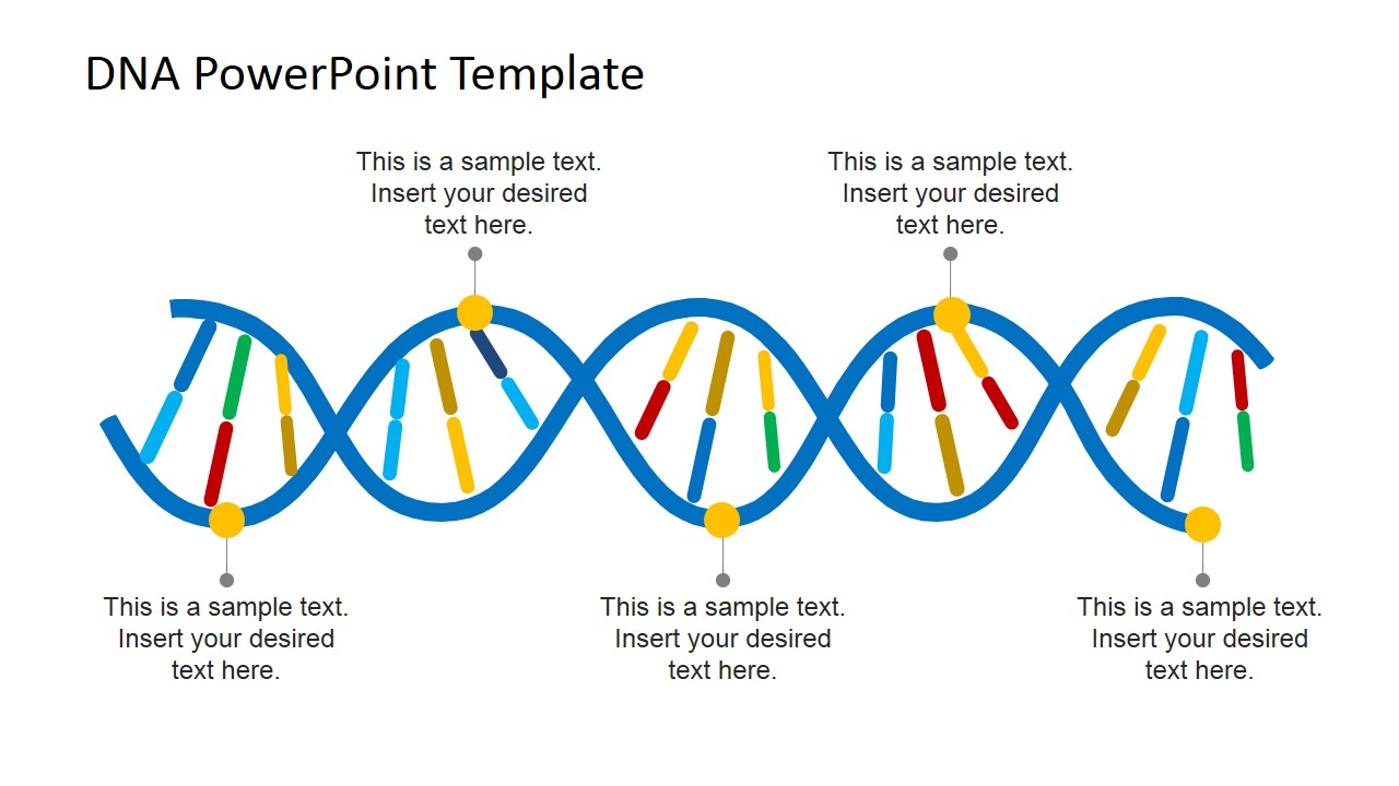 DNA Strands PowerPoint Template - SlideModel dna strand diagram 