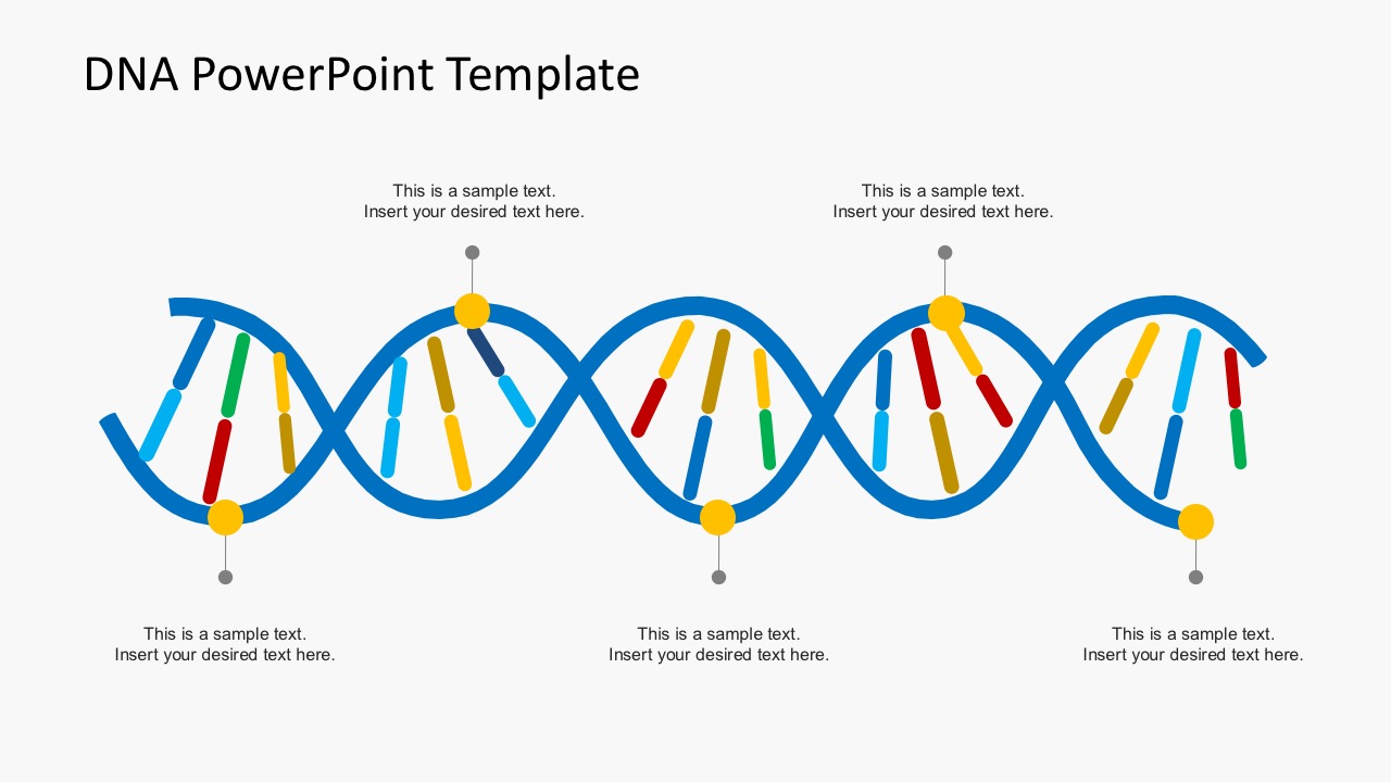 组织文化DNA PowerPoint模板 - 木鱼查询