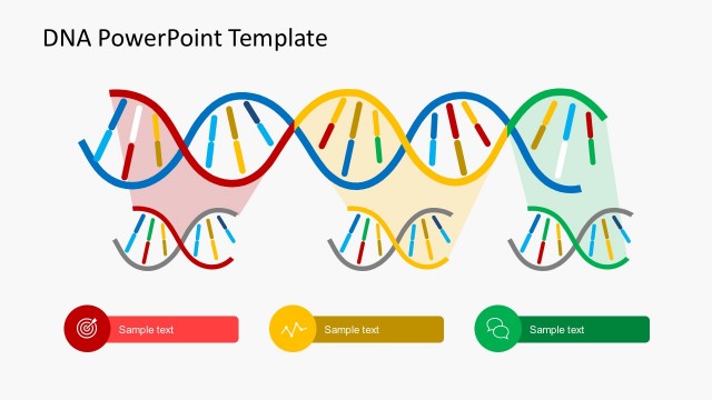 DNA Code Strands PowerPoint Shape Templates
