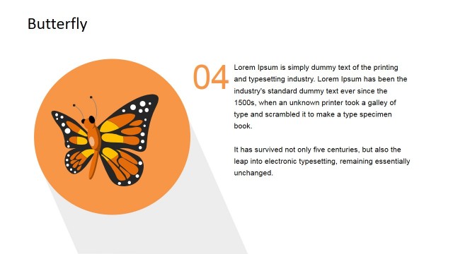 Final Stage Butterfly Business Workflow Model