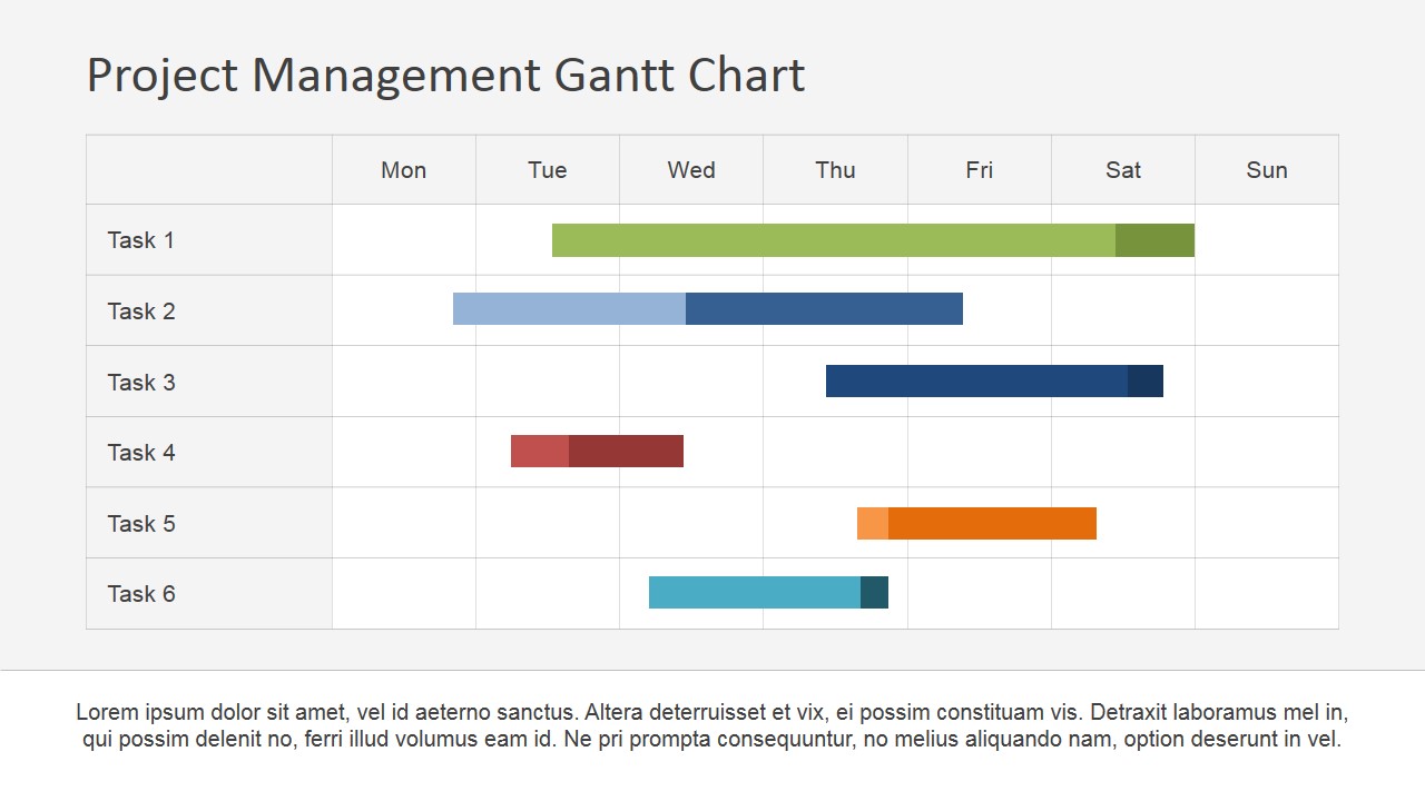 Project Management Gantt Chart Example