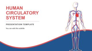 Editable Templates for Circulatory System 