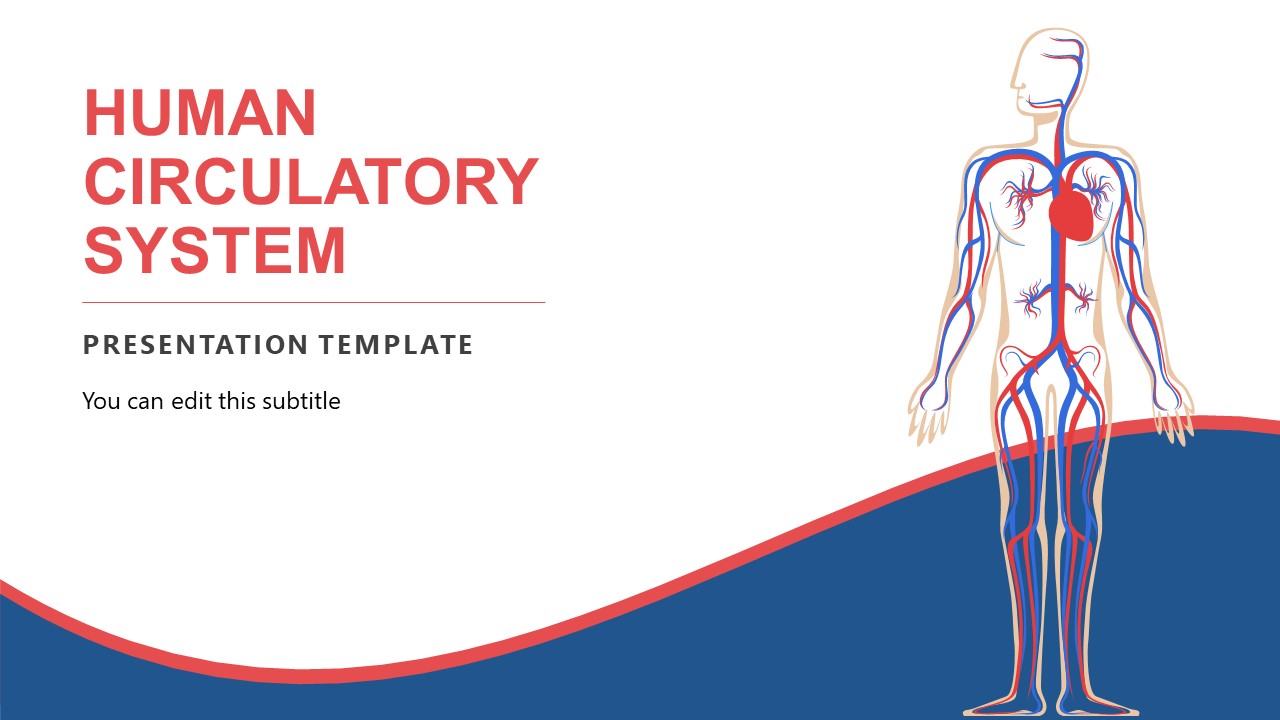 Circulatory System PowerPoint Template SlideModel
