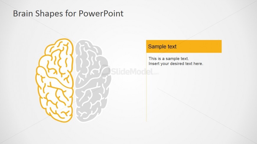 Left Brain Functions PowerPoitn Slides