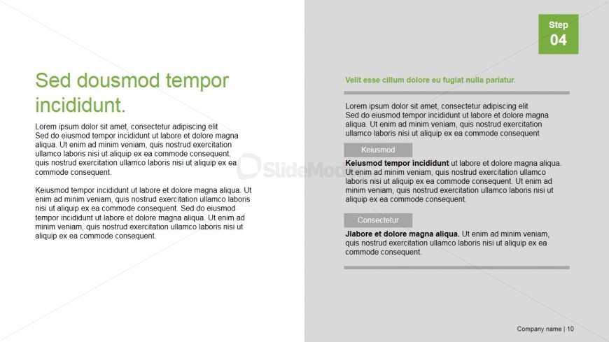 PowerPoint Professional Publishing Design Two Column Layout