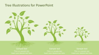 PPT Tree Diagram with Roots