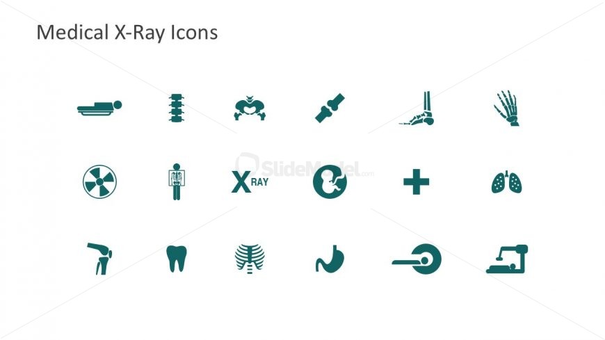 Editable Icons for Medical Radiology