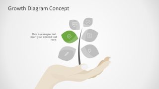 6 Segment PPT Growth 