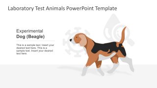 Dog Shapes Animal Testing Vectors