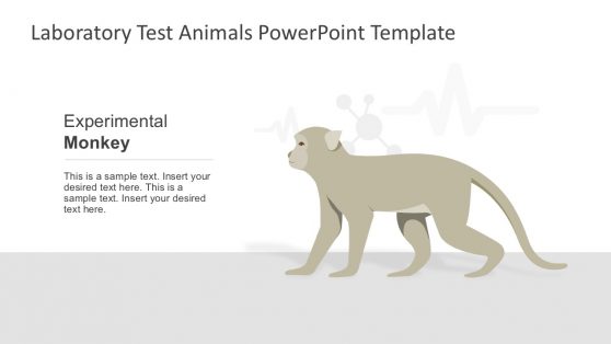 Lab Experimental Monkey for PowerPoint