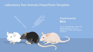 Laboratory Test Animals PowerPoint Template - SlideModel