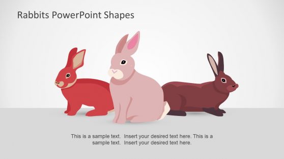 Rabbit PowerPoint Templates