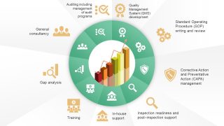 Cycle Diagram of Quality System