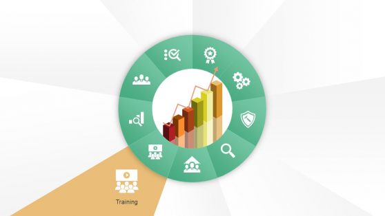 QMS Cycle Diagram Training