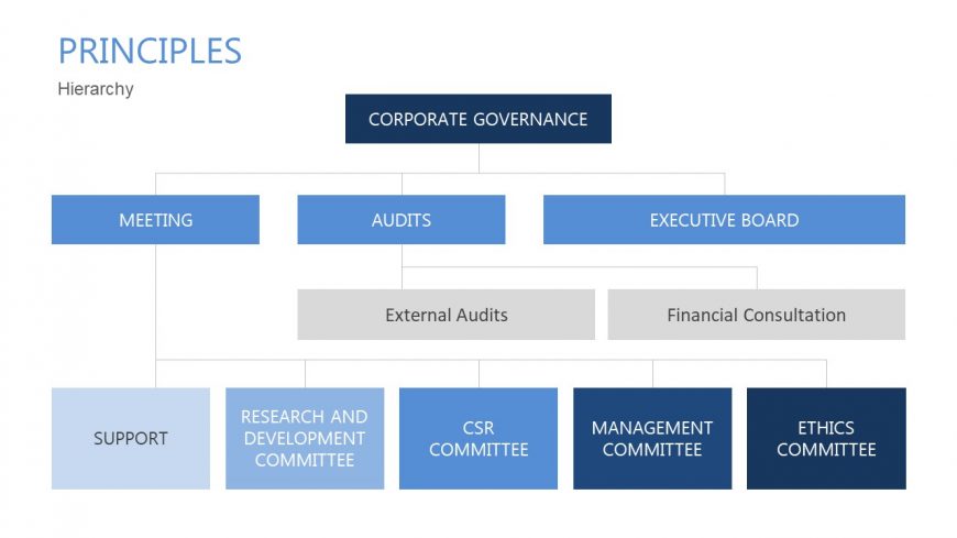 Breakdown of Corporate Governance Principles 