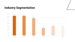 Industry Segmentation Chart Slide