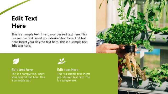 Hydroponic Business Slide for Presentation