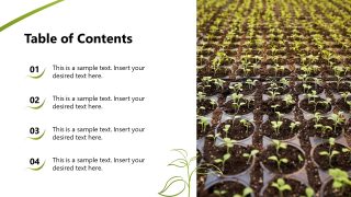 Customizable Hydroponic Business PPT Template 