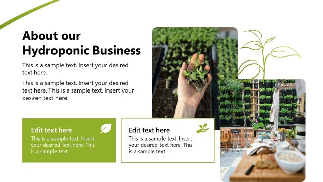 About our Hydroponic Business Slide