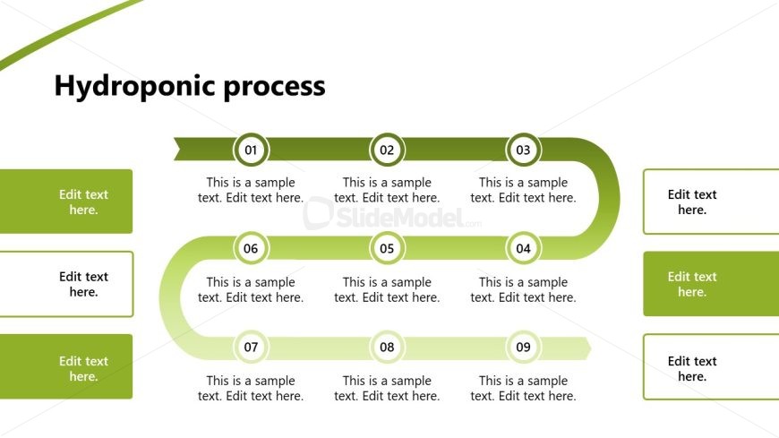 Hydroponic Business PowerPoint Slide