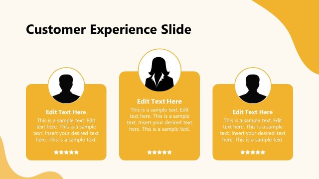 Customer Experience Slide with Infographics