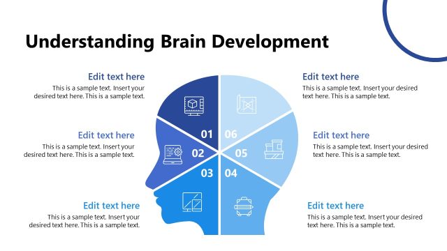 Understanding Brain Development Diagram Slide