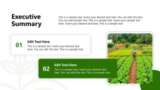 Agriculture Business Template - Summary Slide