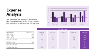 Financial Report Template for Presentation 